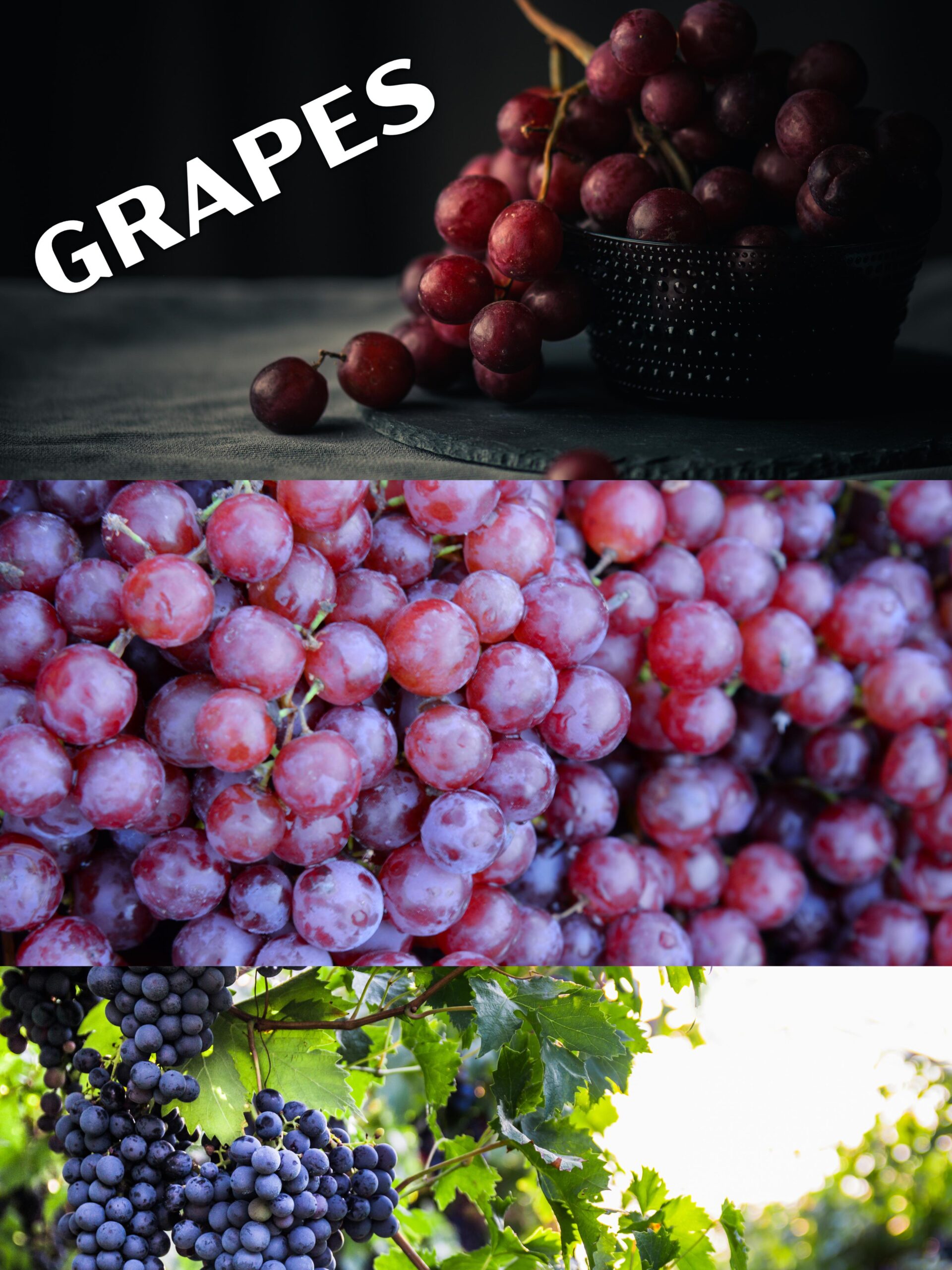 WhatsApp Image 2025-05-29 at 2.48.35 PM (2)